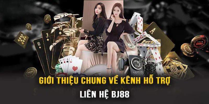 Một số trường hợp cần liên hệ hỗ trợ BJ88
